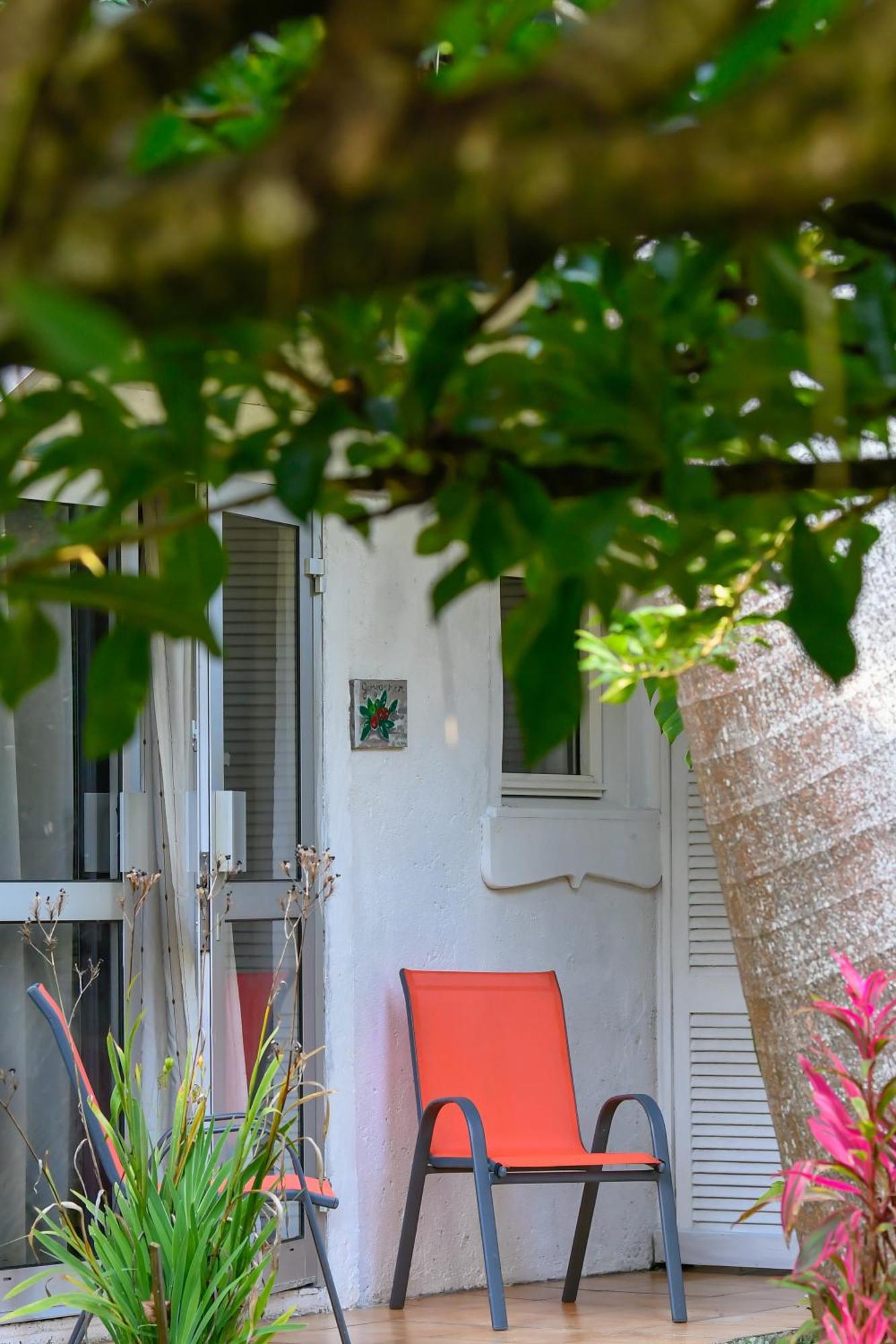Le Medinilla Bed & Breakfast Bras-Panon Ngoại thất bức ảnh